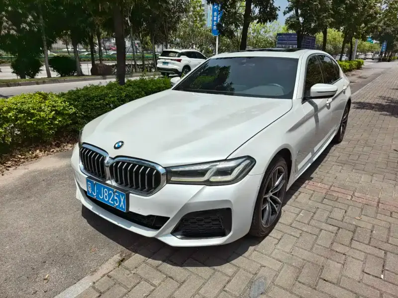 BMW 5 Series, 2021