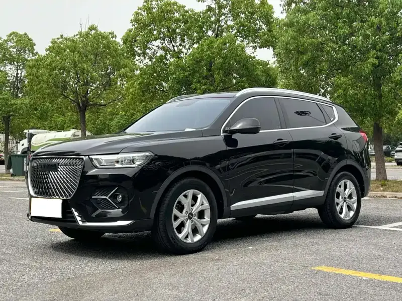 Haval H6, 2021