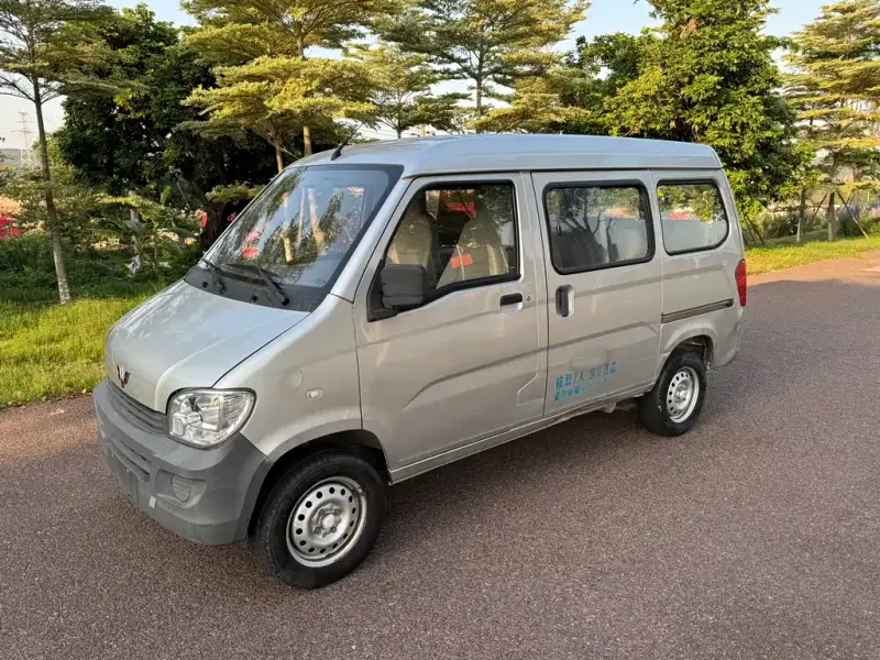 Wuling Zhiguang, 2020