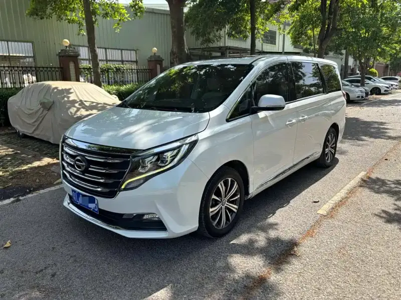 GAC Motor Trumpchi M8, 2019 — фото 1