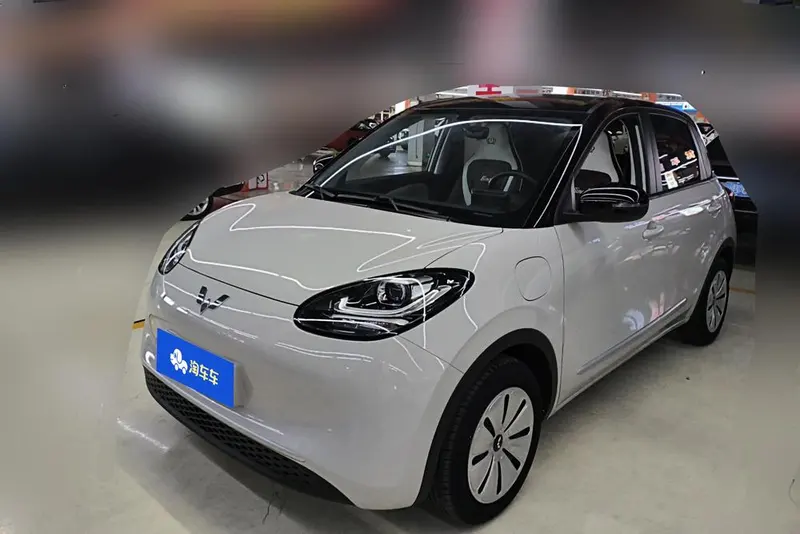 Wuling Bingo, 2024