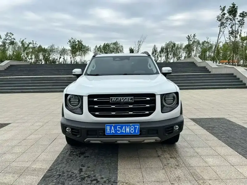 Haval Big Dog, 2021