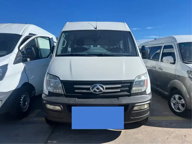 Maxus V80, 2020