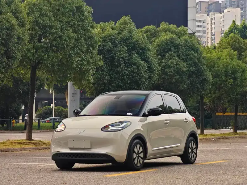 Wuling Bingo, 2023