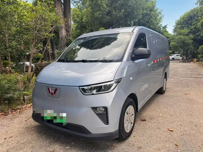 Wuling Yangguang, 2024