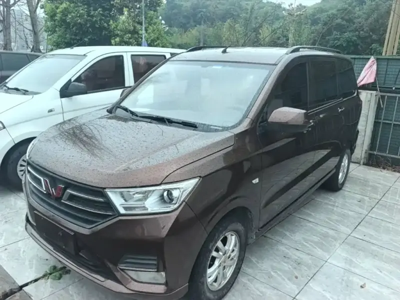 Wuling Hongguang, 2019