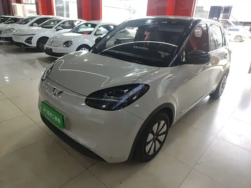 Wuling Bingo, 2024