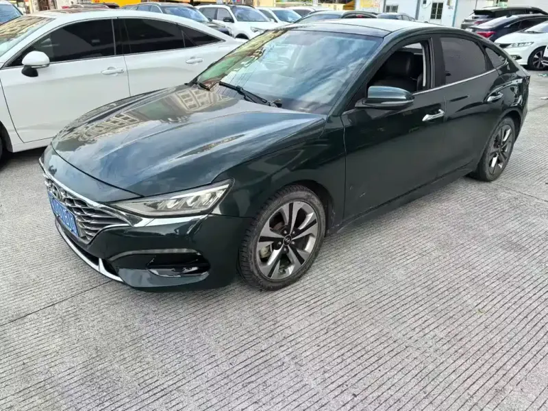 Hyundai Fista, 2019