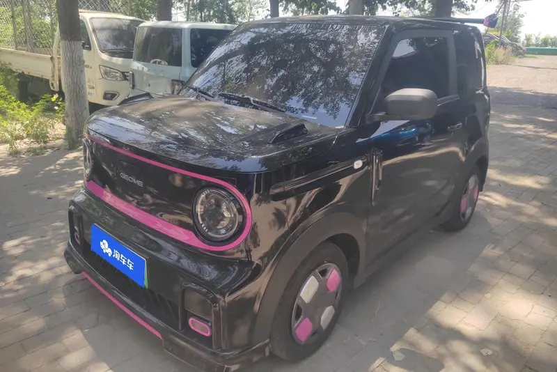 Galaxy Panda, 2025