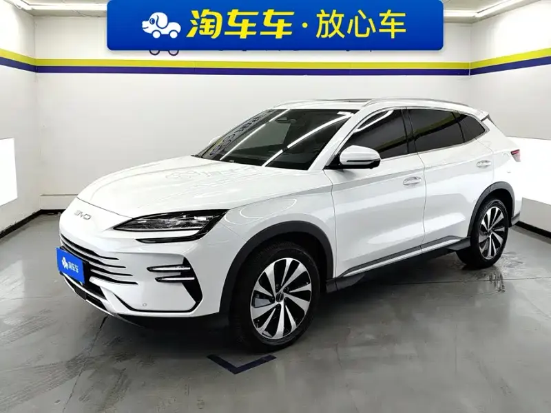BYD PLUS New Energy, 2024 — фото 1