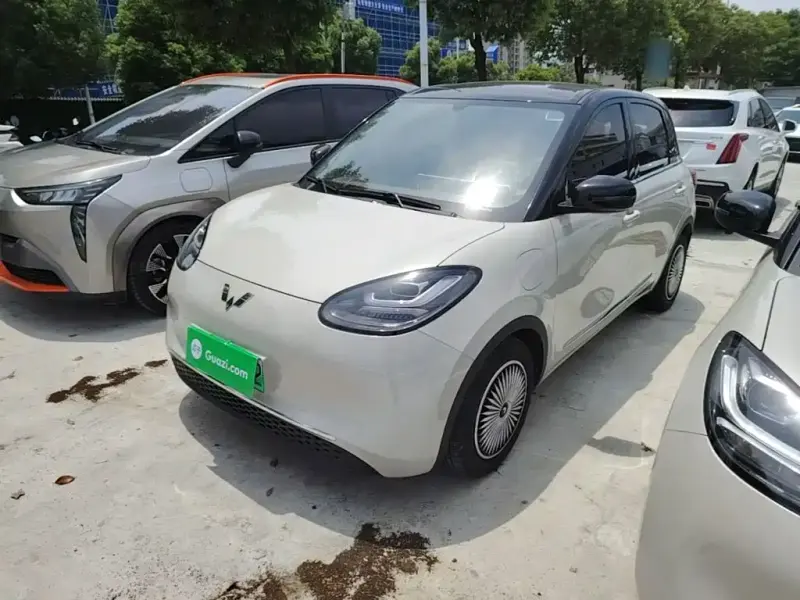 Wuling Bingo, 2024