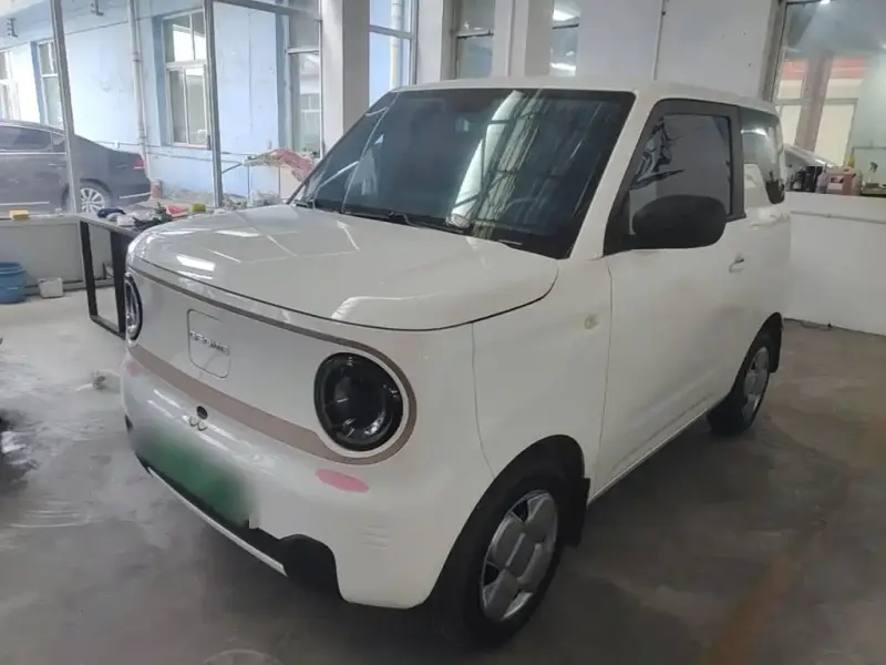 Galaxy Panda, 2025