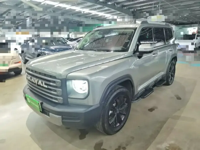 Haval Menglong New Energy, 2024