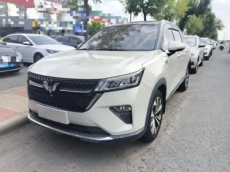 Wuling Xingchen, 2021