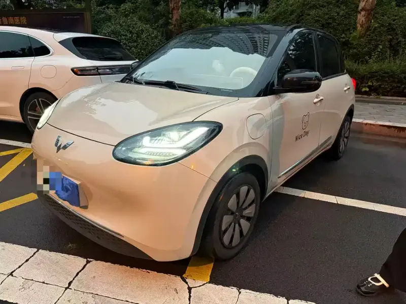 Wuling Bingo, 2024