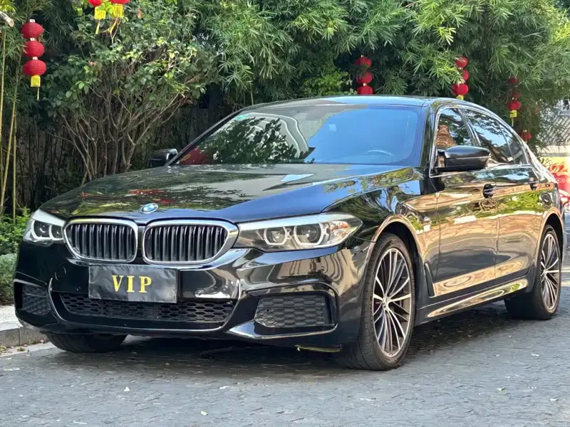 BMW 5 Series, 2019