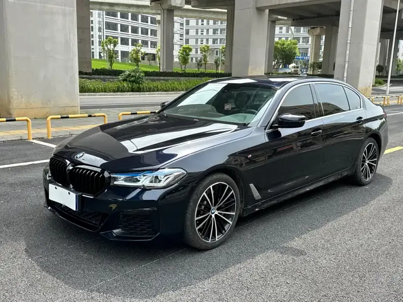 BMW 5 Series, 2020