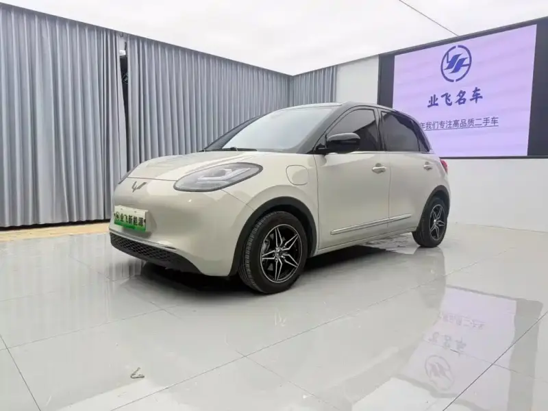 Wuling Bingo, 2023