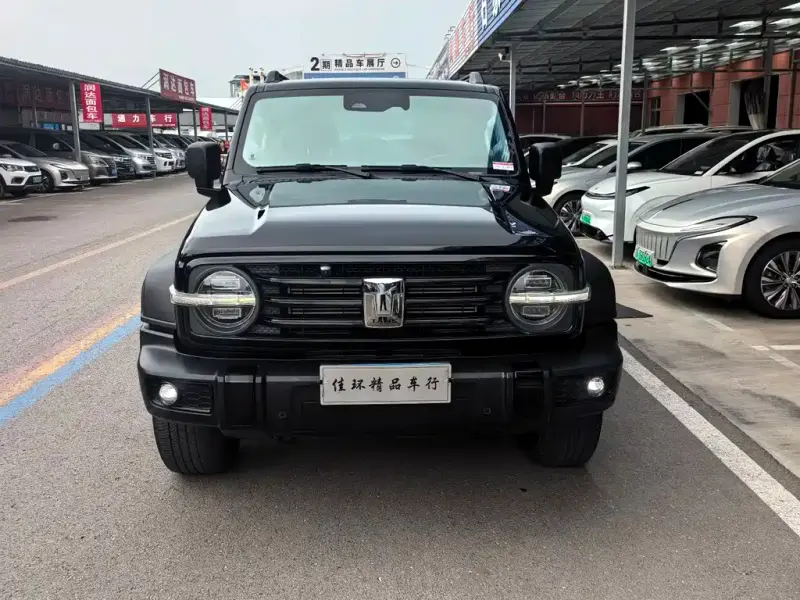 Tank 300, 2021