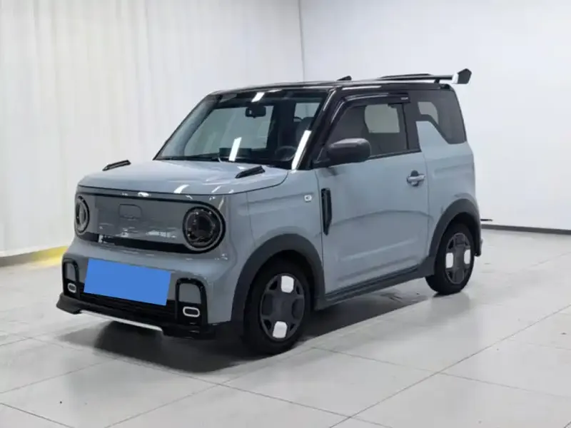 Galaxy Panda, 2024