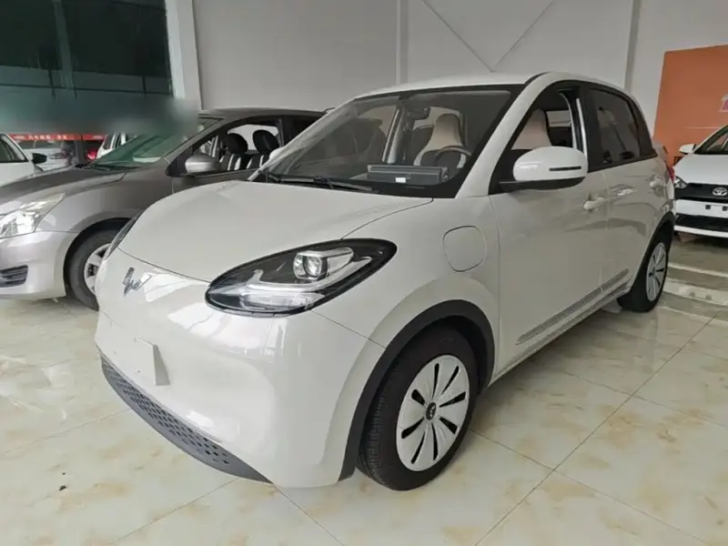 Wuling Bingo, 2023