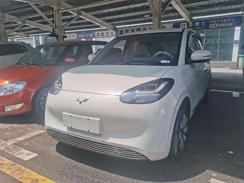 Wuling Bingo, 2024