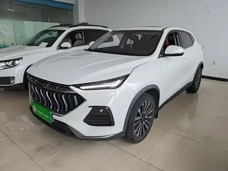 Oshan Oushang X5, 2021
