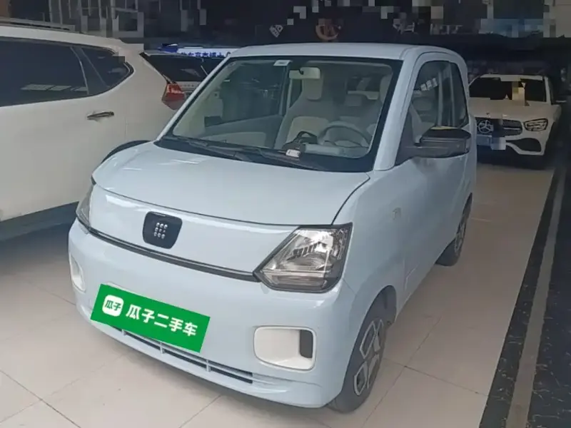 Fengguang MINIEV, 2024
