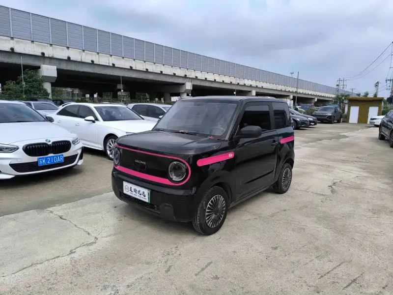 Galaxy Panda, 2023