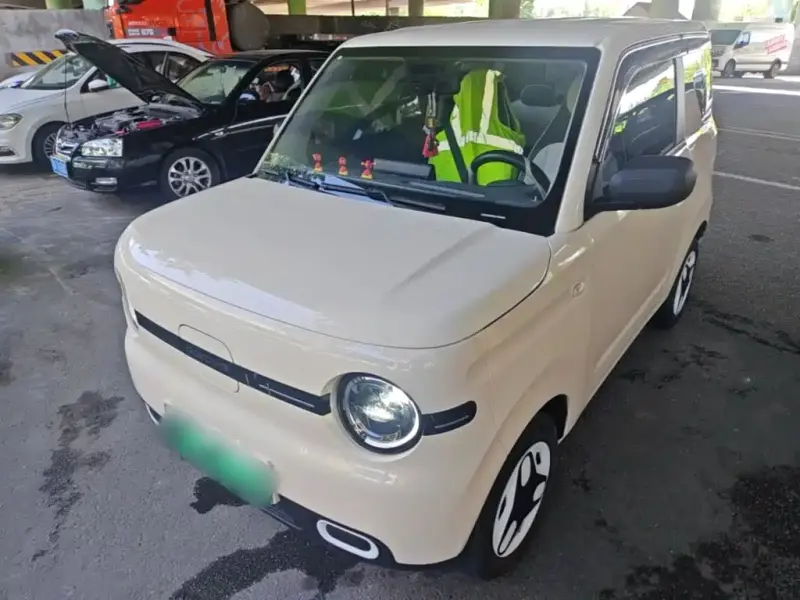 Galaxy Panda, 2025
