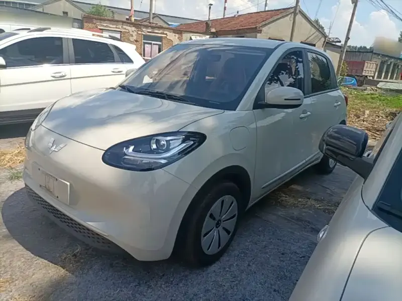 Wuling Bingo, 2024