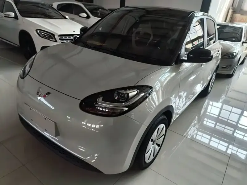 Wuling Bingo, 2024