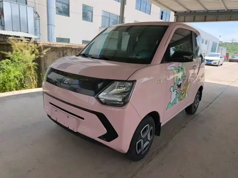 Fengguang MINIEV, 2022