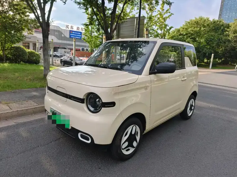 Galaxy Panda, 2025