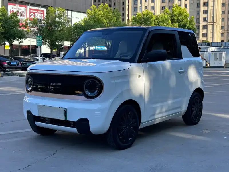 Galaxy Panda, 2023