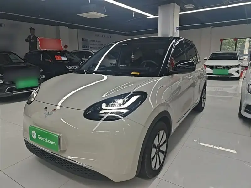 Wuling Bingo, 2024