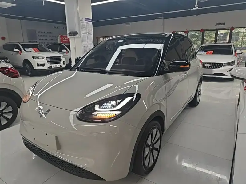 Wuling Bingo, 2024