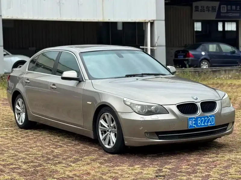 BMW 5 Series, 2010