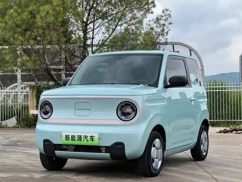 Galaxy Panda, 2024