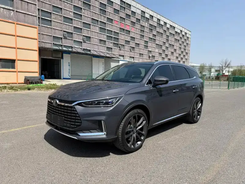 BYD Tang New Energy, 2019
