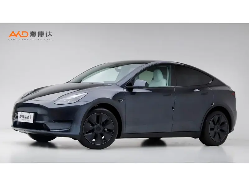 Tesla Model Y, 2024