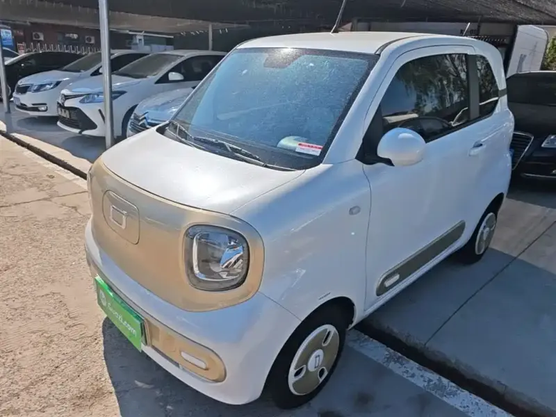Bestune Pony, 2024