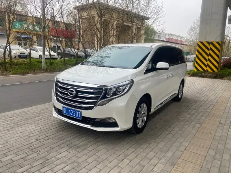 GAC Motor Trumpchi M8, 2018