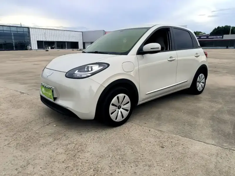 Wuling Bingo, 2025