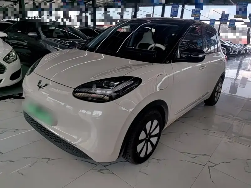 Wuling Bingo, 2024