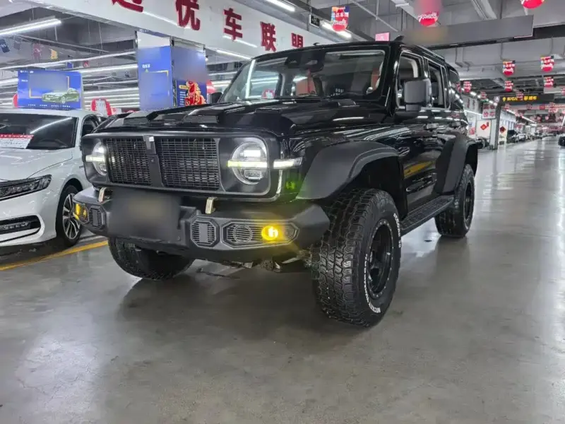 Tank 300, 2021