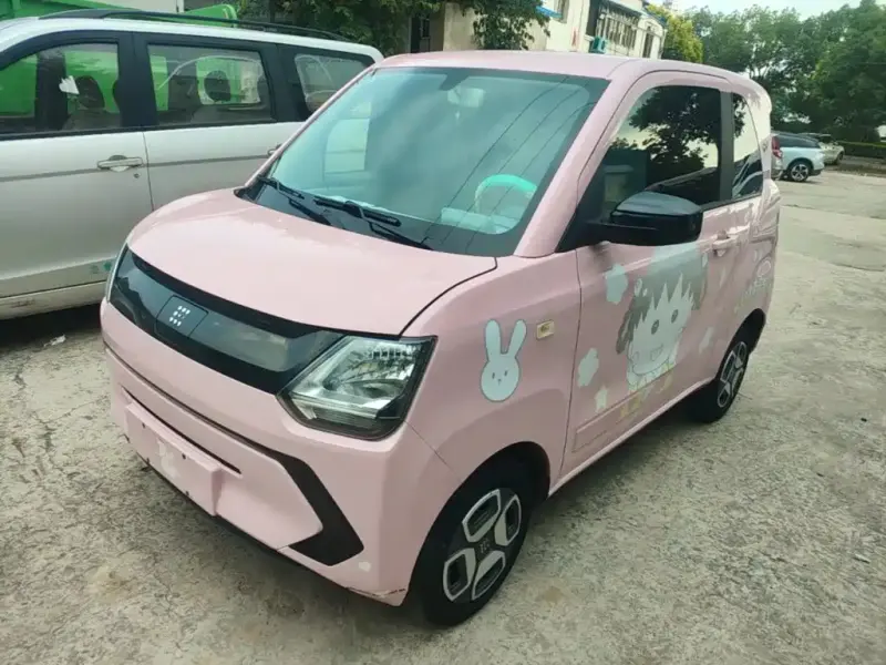 Fengguang MINIEV, 2022