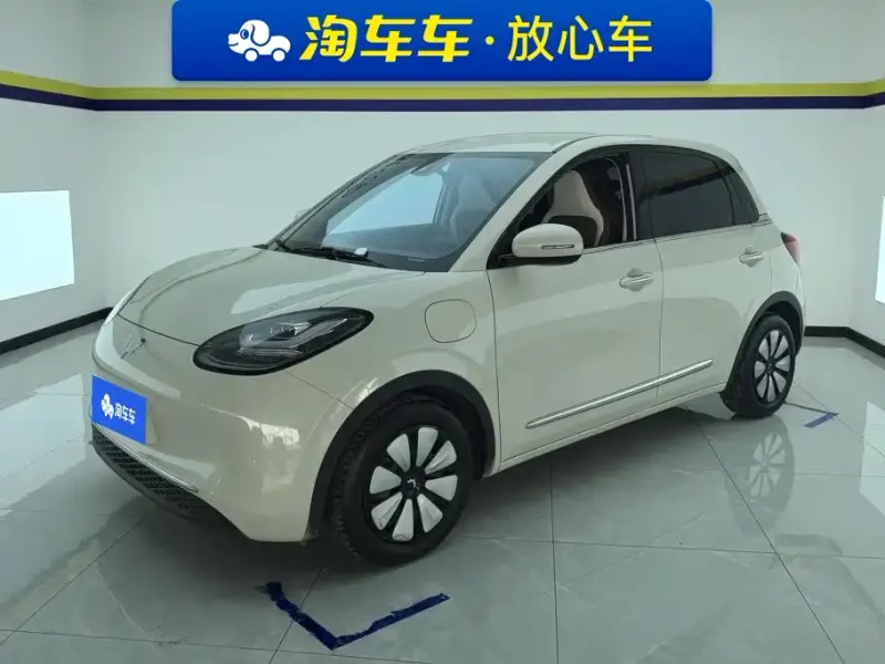 Wuling Bingo, 2024