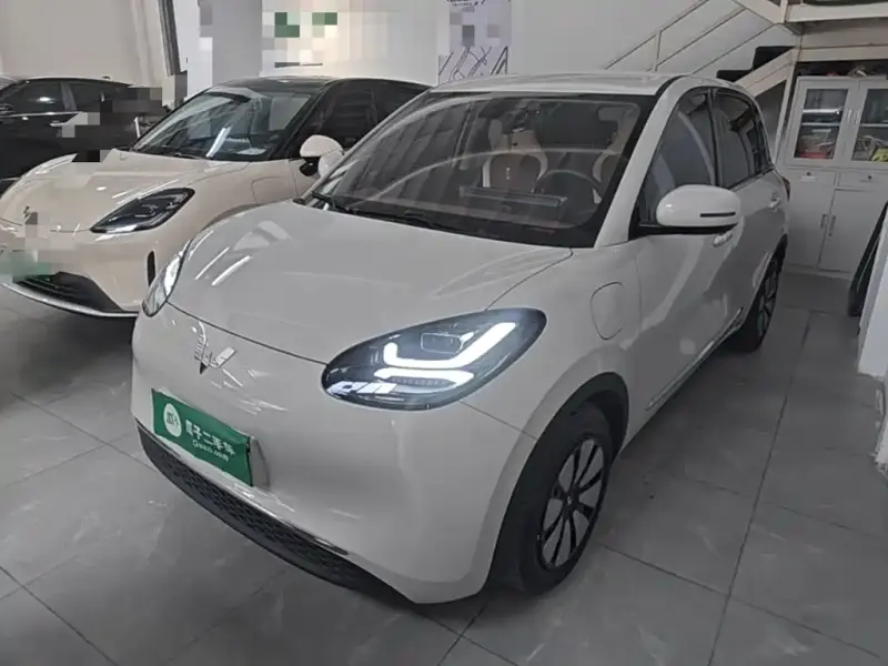 Wuling Bingo, 2023