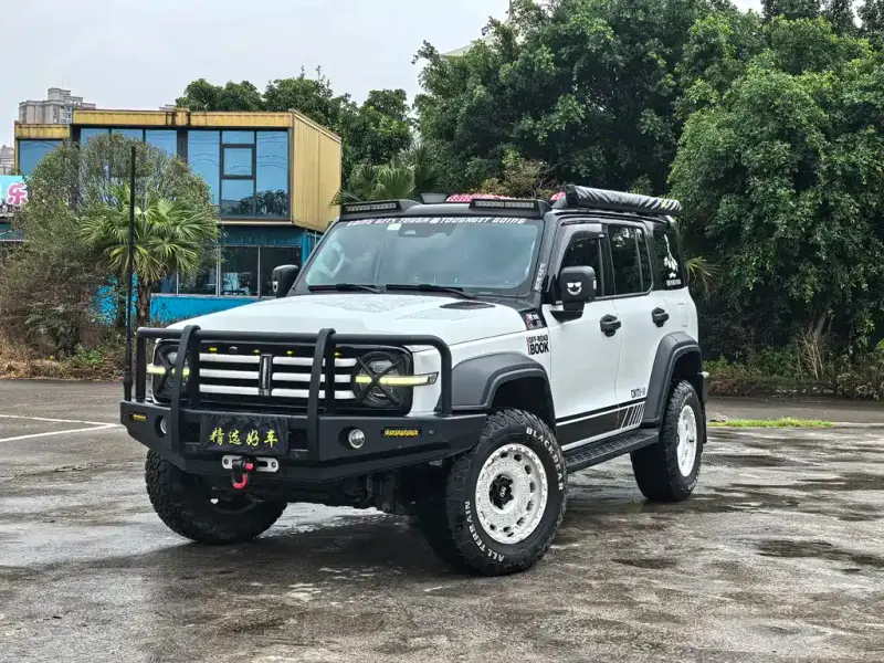 Tank 300, 2021